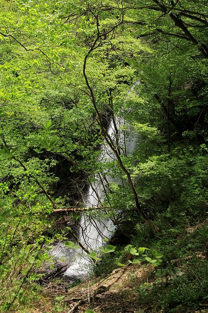 e0137200_16375699.jpg
