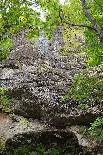 e0137200_1639455.jpg