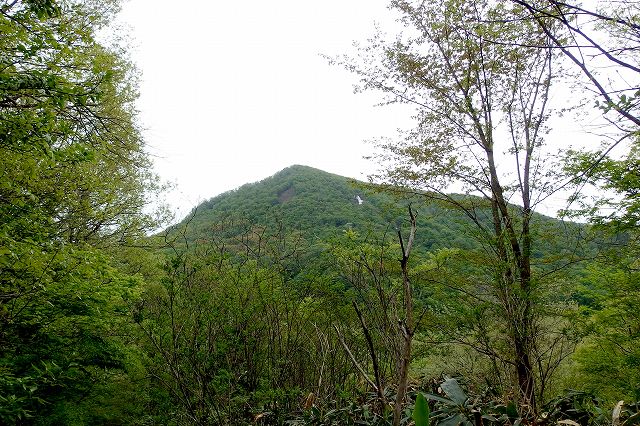 e0137200_16395825.jpg