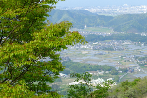 e0304001_2228431.jpg