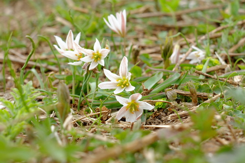 e0304001_22291675.jpg
