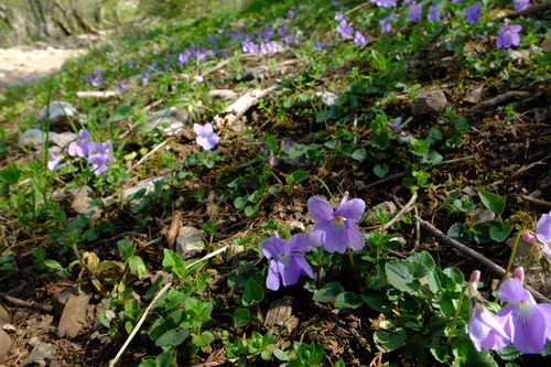 e0304001_22295131.jpg