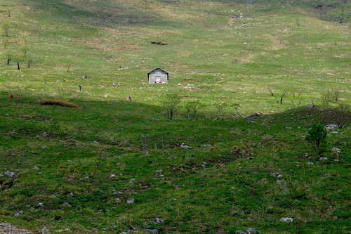 e0304001_22303255.jpg