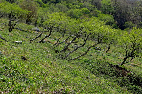 e0304001_22355066.jpg