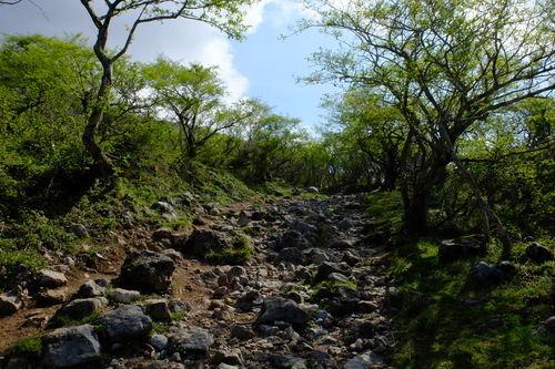 e0304001_22361113.jpg