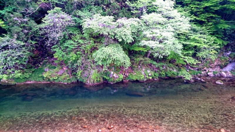 f0266202_20262889.jpg