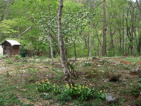 f0161708_21184484.jpg