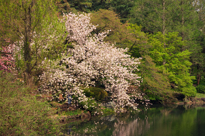 a0263109_10491990.jpg