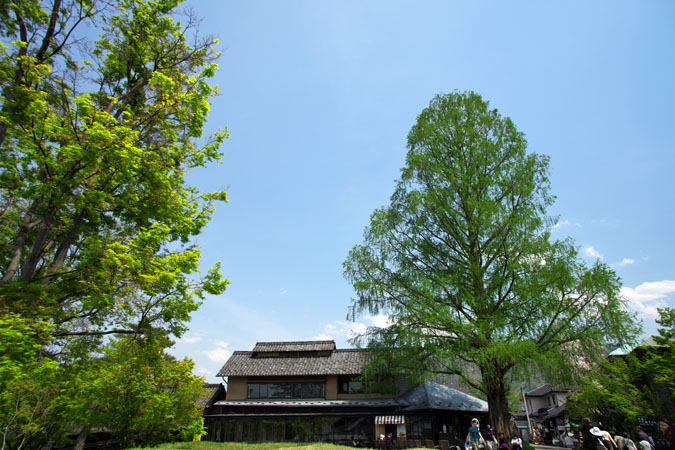 a0263109_21113128.jpg