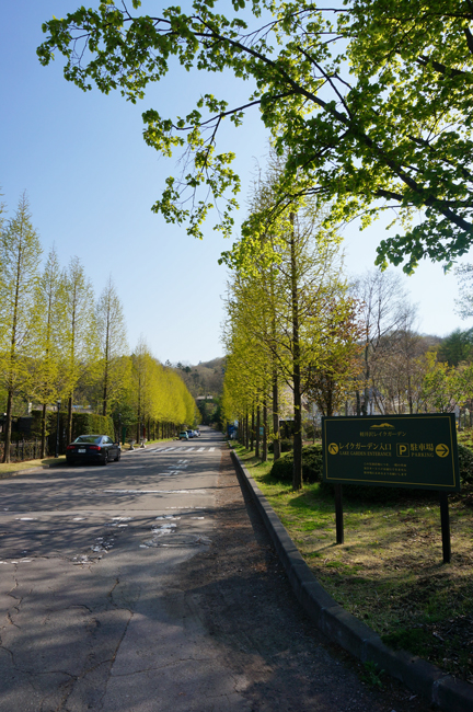 e0136511_826019.jpg
