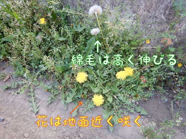f0329311_1012251.jpg