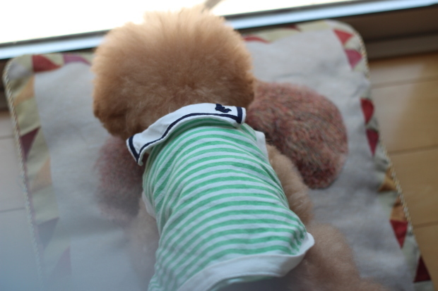b0197418_10082317.jpg