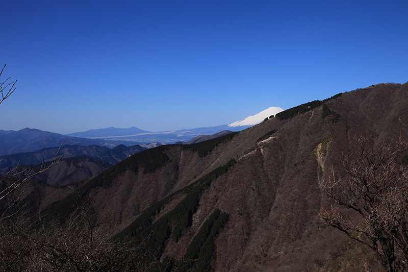 c0369219_19354583.jpg