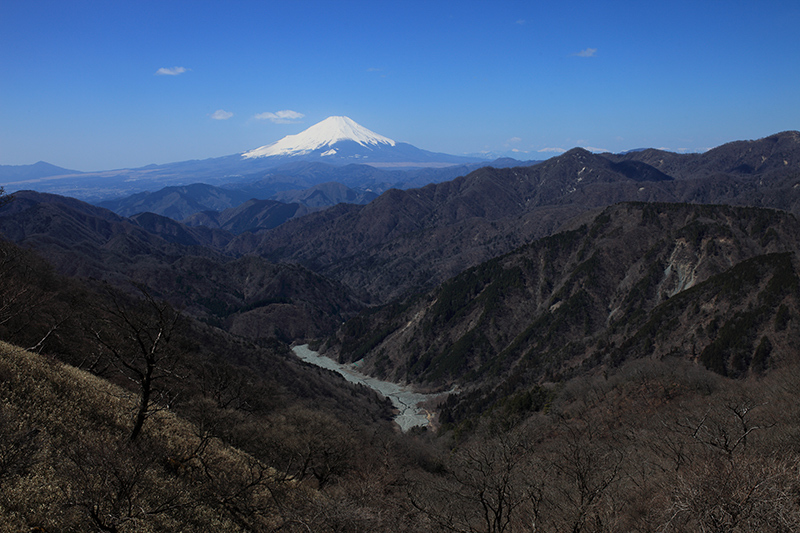 c0369219_20453443.jpg