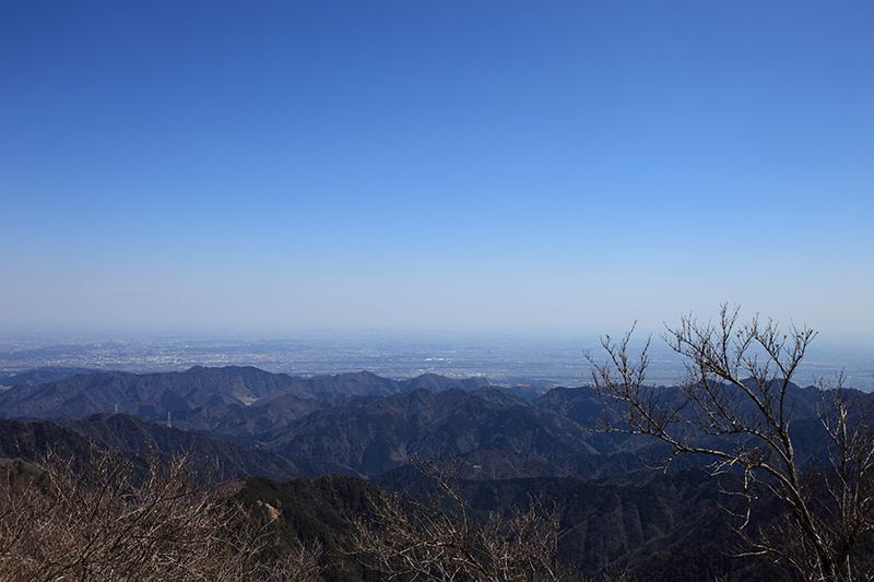 c0369219_20554911.jpg