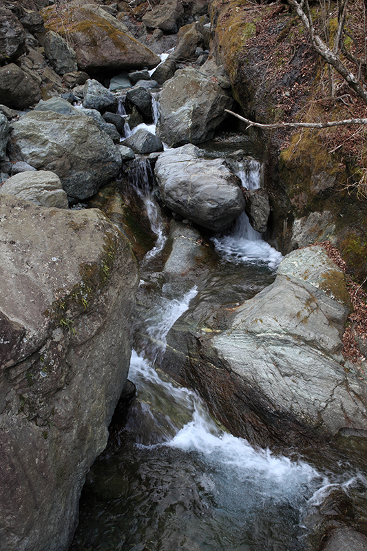 c0369219_22051837.jpg