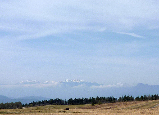 d0221319_2056643.jpg