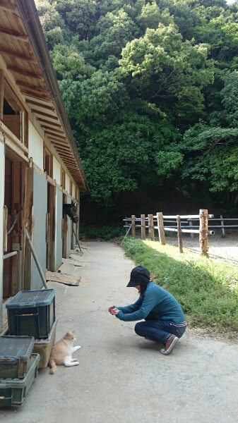 b0187620_21423100.jpg