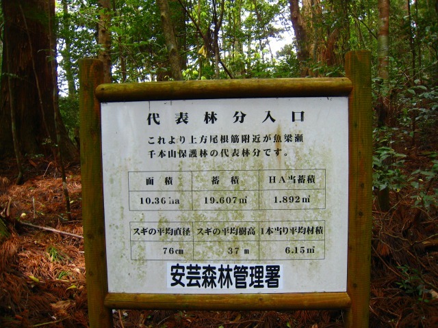 e0002820_15250851.jpg