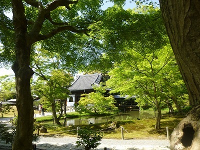 b0131526_14101364.jpg