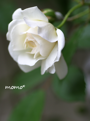 d0263826_18074227.png