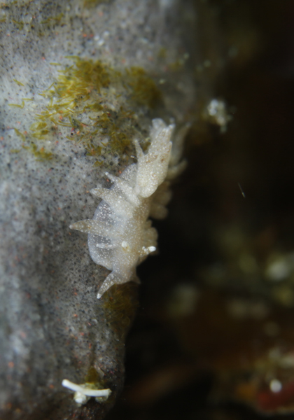 d0039027_16573358.jpg