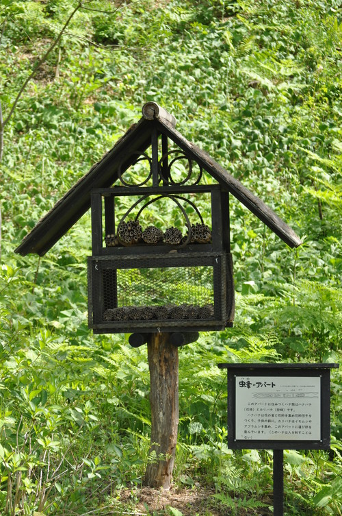 a0248728_1804857.jpg