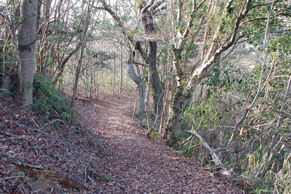 e0158128_16365536.jpg