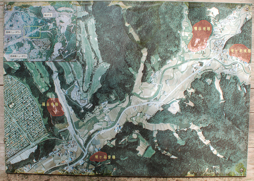 e0158128_1654441.jpg