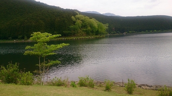 d0064329_07084911.jpg