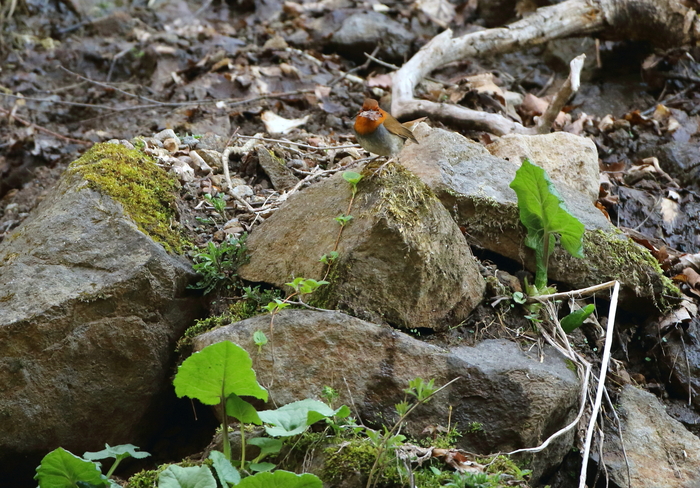 c0148230_17325136.jpg