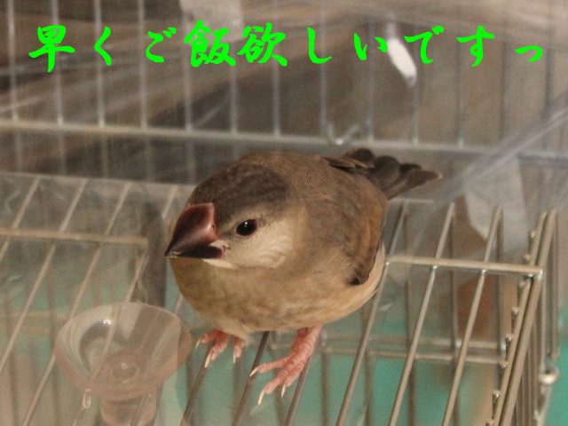 c0365734_2147407.jpg