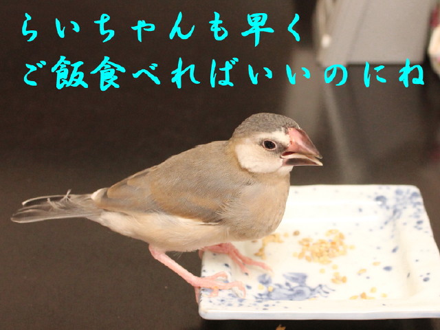 c0365734_21481212.jpg