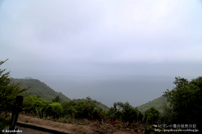 d0140234_12352663.jpg