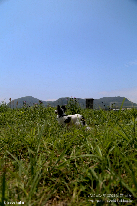 d0140234_13142681.jpg