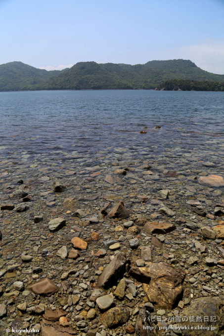 d0140234_13145439.jpg