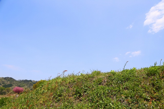 a0242438_18224824.jpg