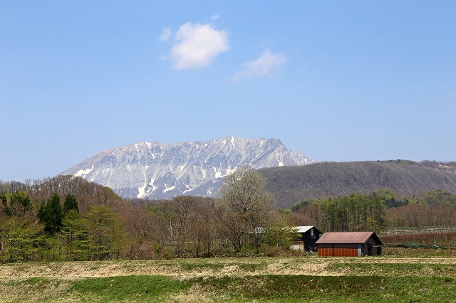 a0242438_18225378.jpg
