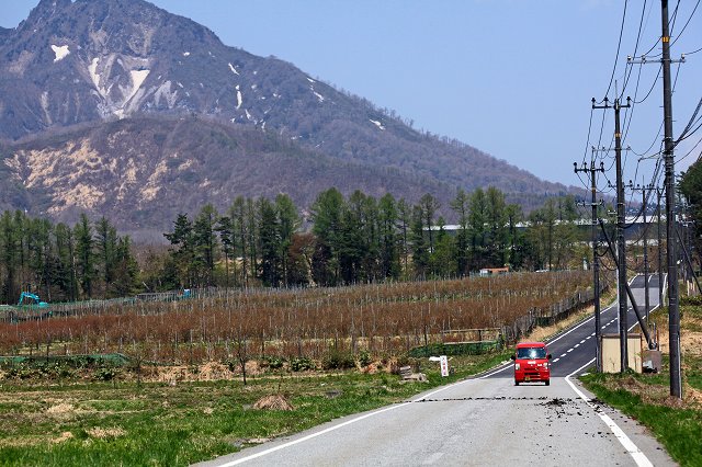 a0242438_182361.jpg