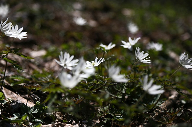 a0242438_1843156.jpg