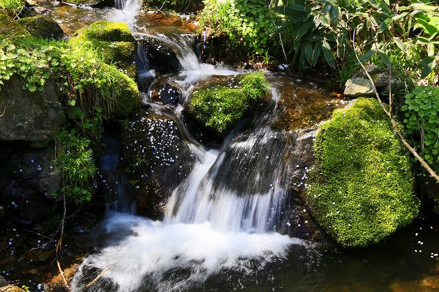 a0242438_1843303.jpg
