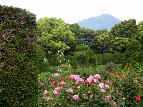 a0279738_1941441.jpg