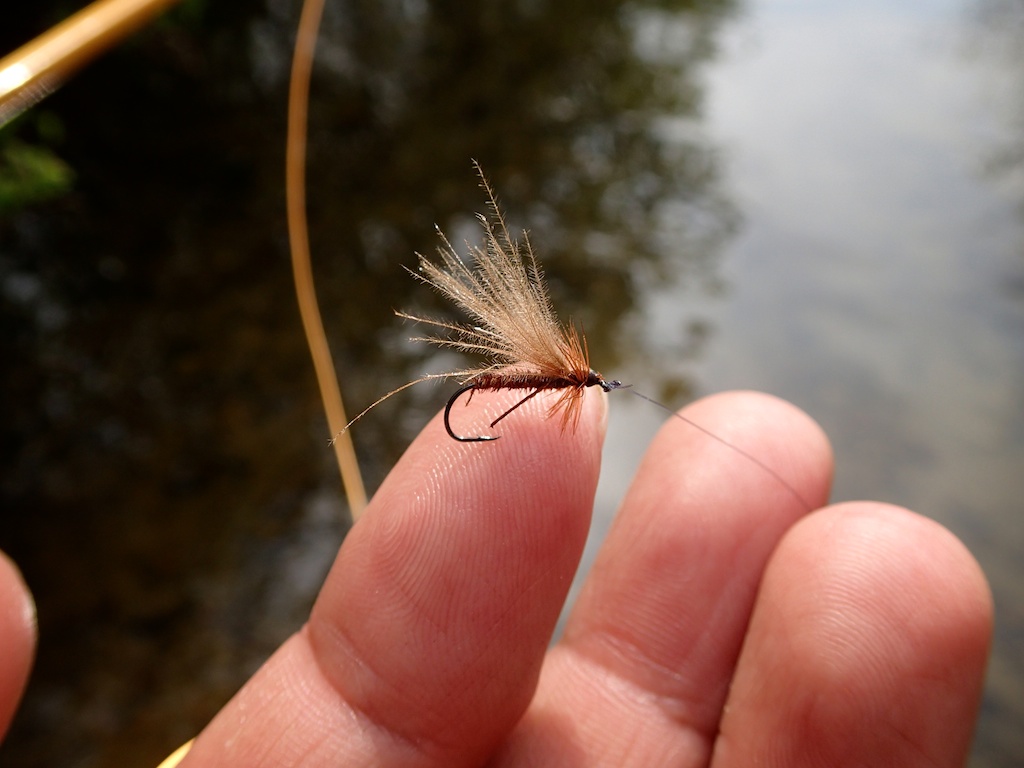 f0280739_2236116.jpg