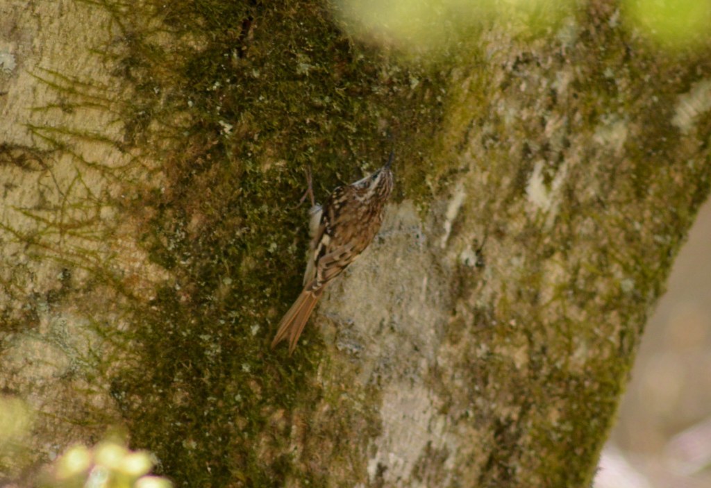 c0349842_16455182.jpg