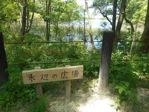 a0124543_19571994.jpg