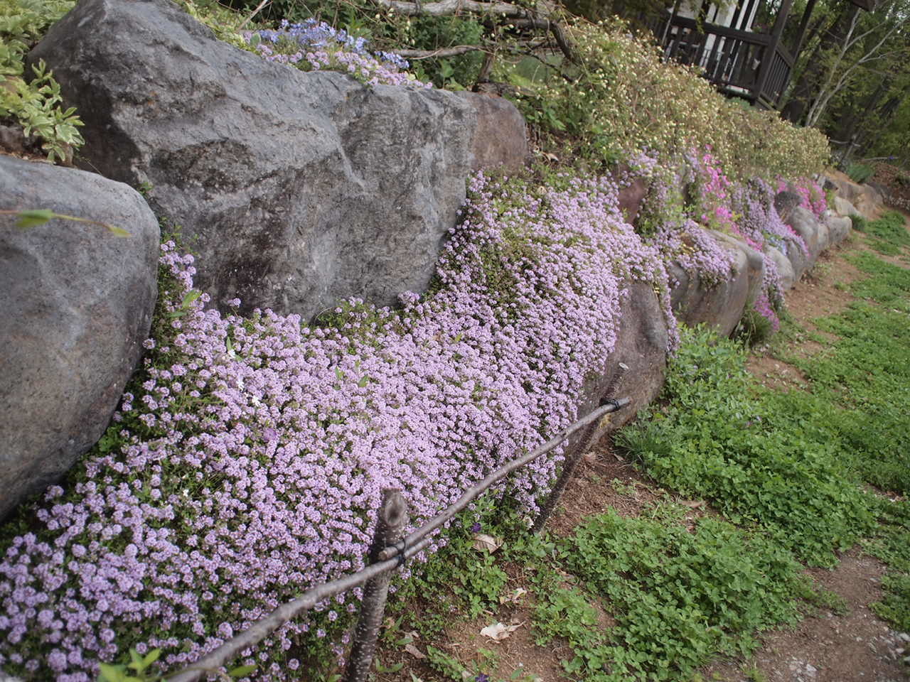 a0299945_17354197.jpg