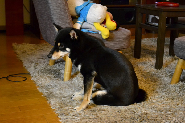 d0322445_1684375.jpg