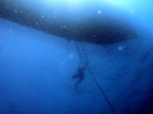 b0236647_1247144.jpg