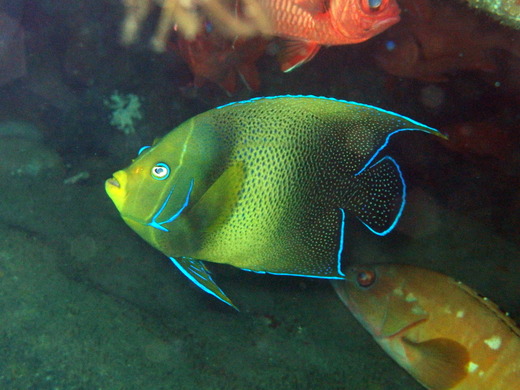 b0236647_12481120.jpg
