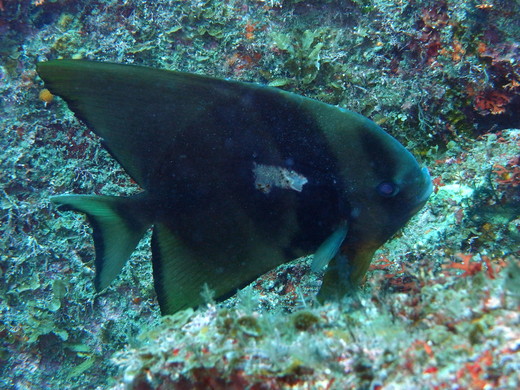 b0236647_12494538.jpg
